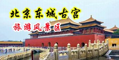 美女被逼着脱胸罩漏出来了胸部的网站中国北京-东城古宫旅游风景区